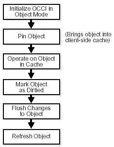 Description of ObjectOperationalFlow.gif follows