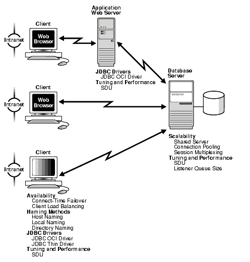 Description of net81109.gif is in surrounding text