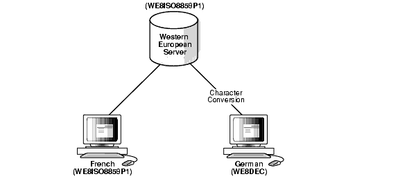 Text description of nlspg028.gif follows