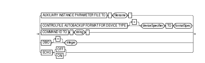 Text description of setRmanOption.gif follows